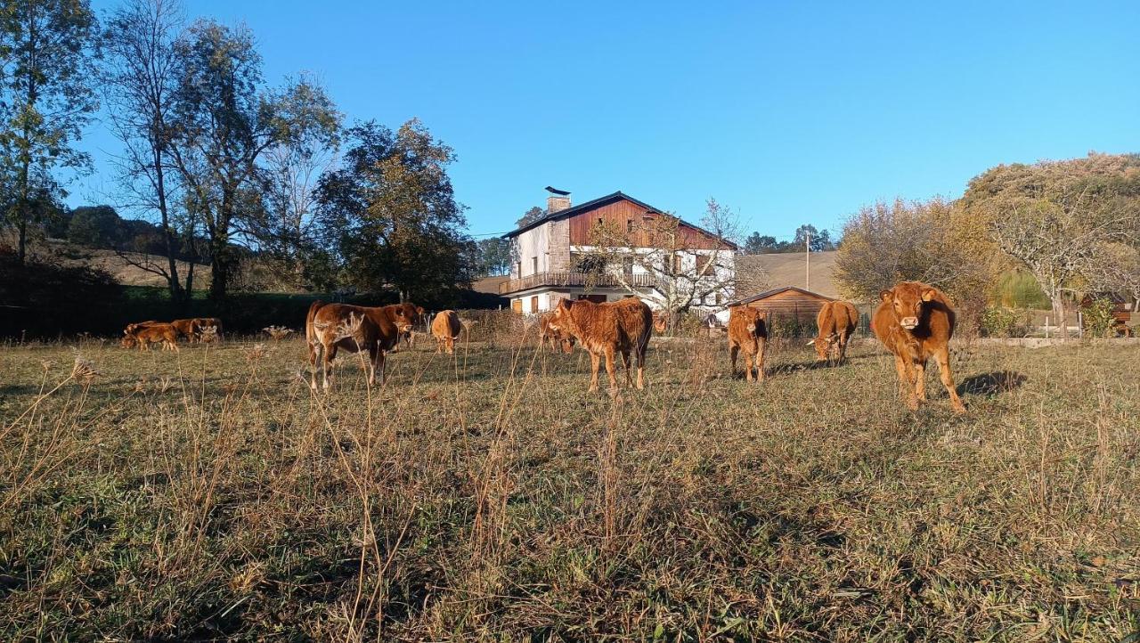 Le Jardin De Moulis Bed & Breakfast Exterior photo